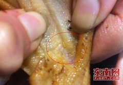 福建三明特产熏鸭三明熏鸭产品惊现蠕虫 食药局