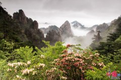 五一旅游推荐:黄山摄影师撰写的旅游攻略