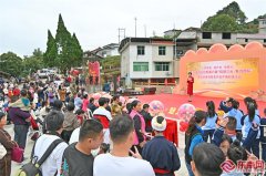 三明三元:蜜桔成甜蜜“致富果”三明三元区