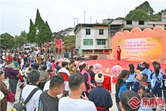 三明三元:西际蜜桔出山有“路”2024-05-23