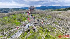 三明建宁:“花海跑”跑进最美春天?三明市