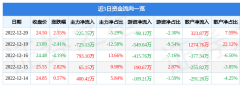 朗博科技(603655)12月20日主力资金净卖出2