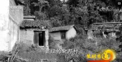 强势“破圈”的沙县小吃凭什么?2024-05-28沙