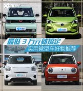 3万元搞定 实用双排座微型车好物推荐?2一