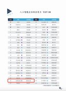 “2024中国人工智能企业综合实力TOP
