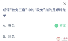 蚂蚁庄园今天小鸡问题正确答案:狡兔三窟的