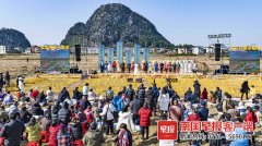 桂林“会仙板鸭”香飘万家!一个村做板鸭产