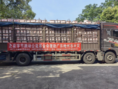 关爱女性生理健康洪流中的守护:字节跳动和
