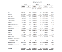 哪吒汽车母公司递交上市申请!?合众汽车