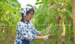 妥妥的“老字号”!玉林这道小吃已有数百年