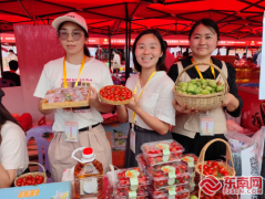 连展三天!500余种名特优农产品亮相漳州古城