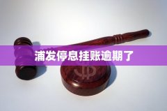 浦发停息挂账逾期了_教育的定义是什么