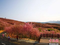 高质量发展调研行)福建清流:推进两岸融合