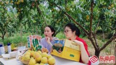 三明建宁:让农特产品带着三明城市名片去“