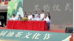 茶油巧克力的健康秘密乡村振兴中的创新之路