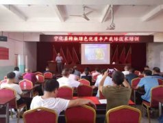 宁化:举办辣椒生产现场会2024-08-28