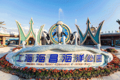 旅游攻略模板图片上海文旅局推暑期观光卡: