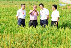 三明特产必买清单三明:地理标志成为绿色发