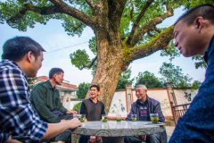 【大国新村:沿着的足迹】杭州余杭:“千万