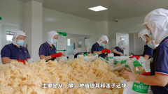 三明:农业领域发展交流越走越深,三明什么