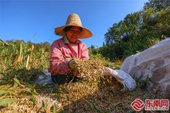 福建三明市特产介绍【组图】三明宁化:时在