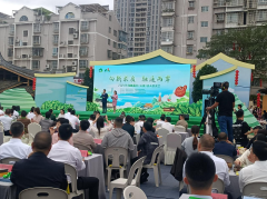 大田:2024年海峡两岸(大田)美人茶大会成