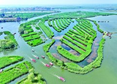 自然财富变经济财富路子可以这么宽2025-03-